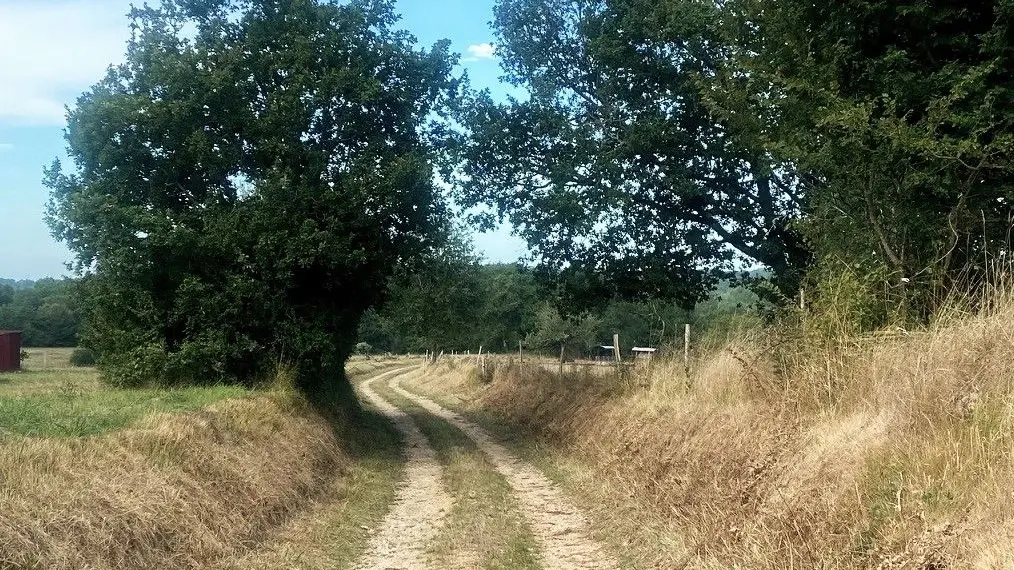 LUSSAS-ET-NONTRONNEAU-Boucle des Beusses-Chemin