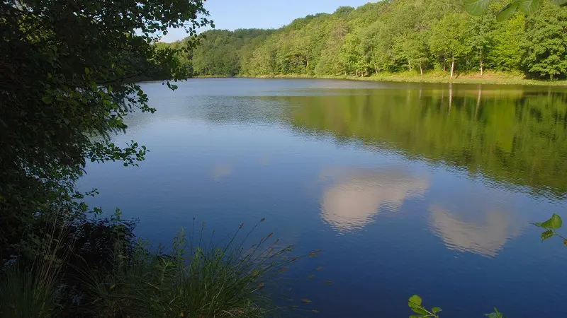 La Coquille Etang de La Barde ©Photoc