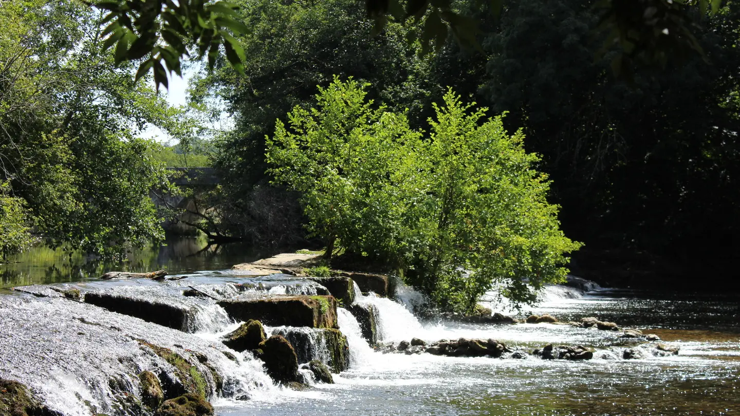 La Dronne à Grand-Brassac