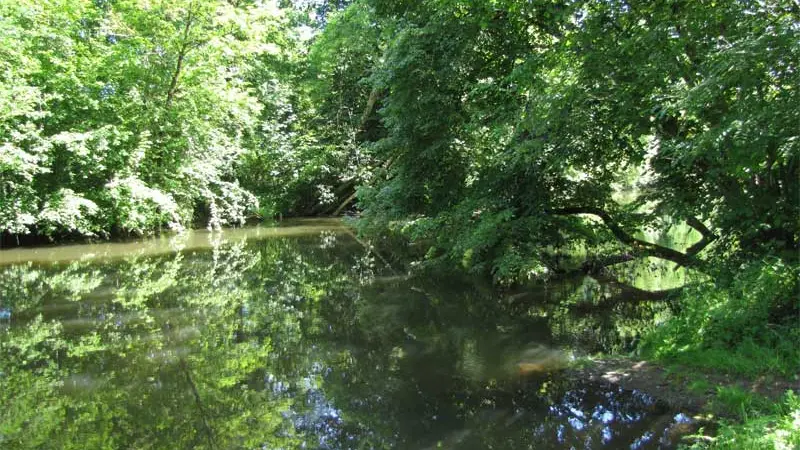 La Dronne, rivière calme et naturelle