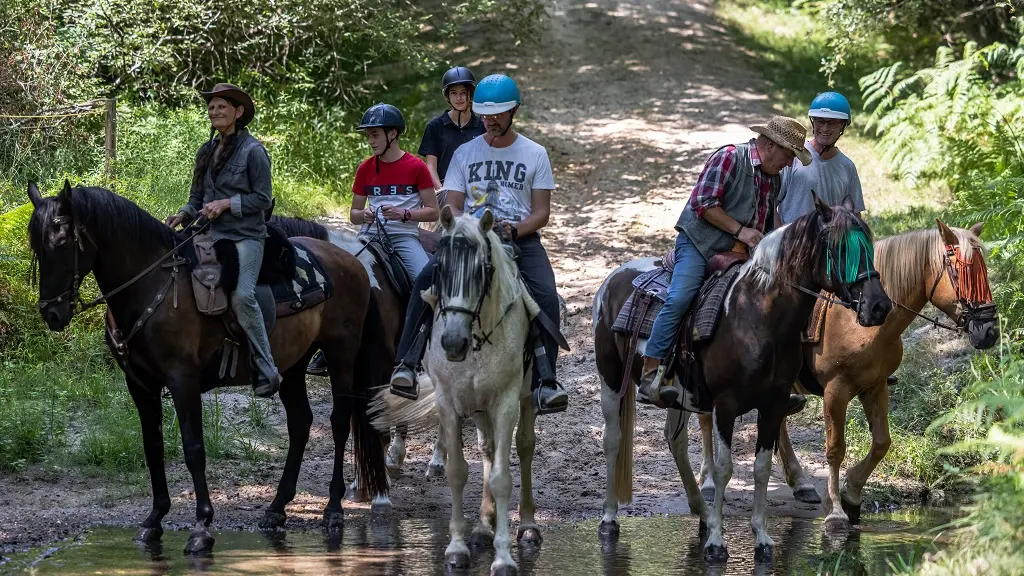 La Forêt à Cheval