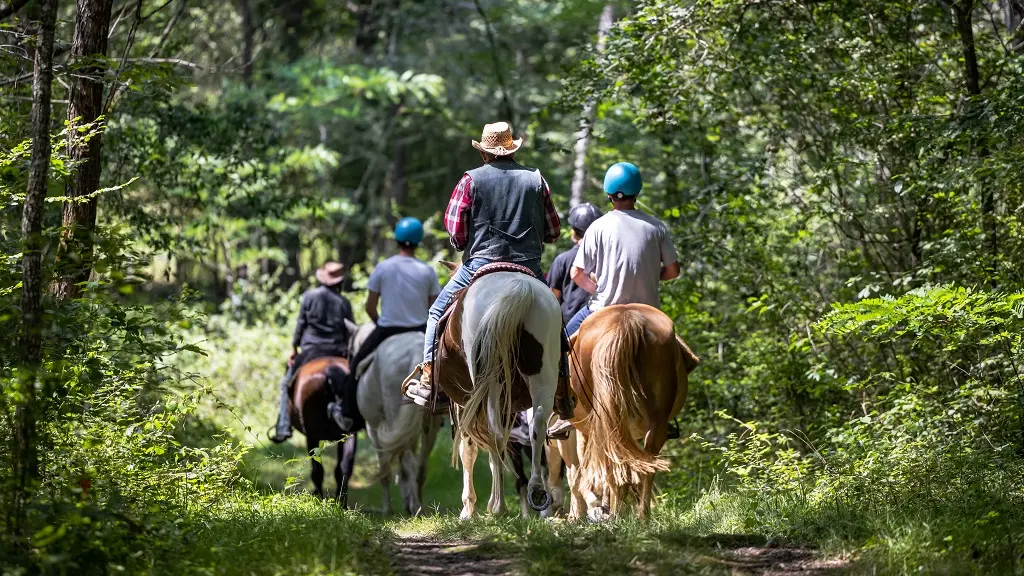 La Forêt à Cheval