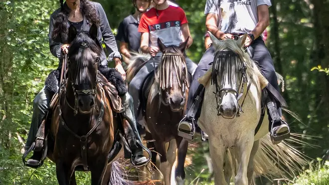 La Forêt à Cheval