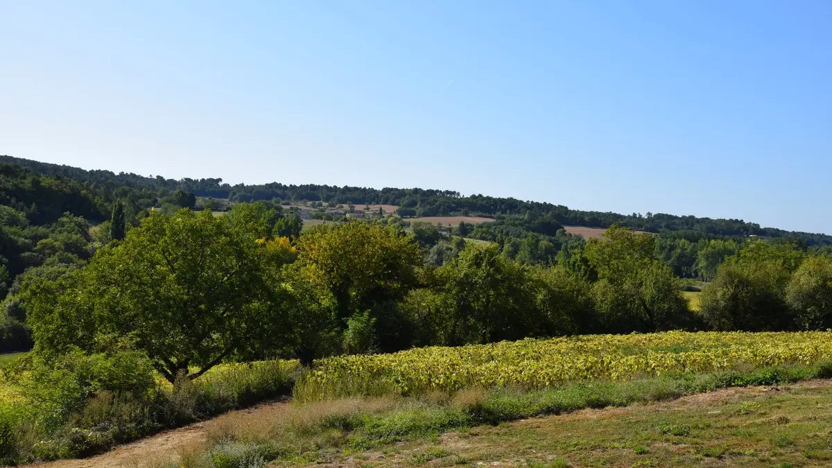 Logis-de-Marthe-Vue sur la vallée depuis la terrasse