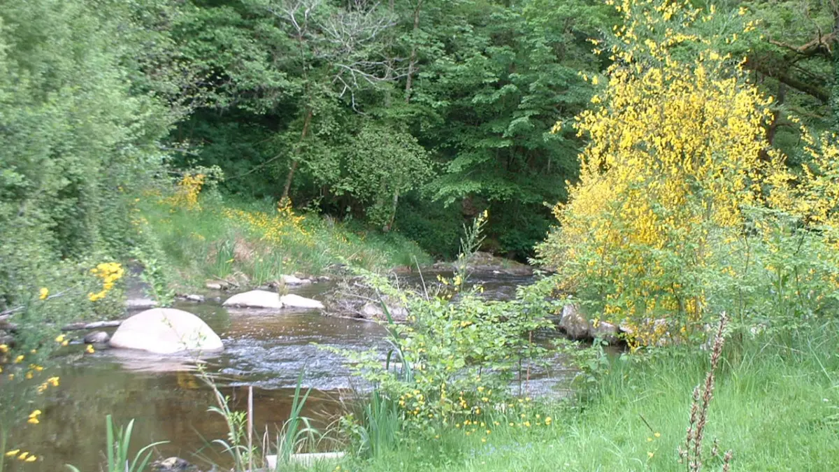 Le Vieux Moulin de la Maque 2