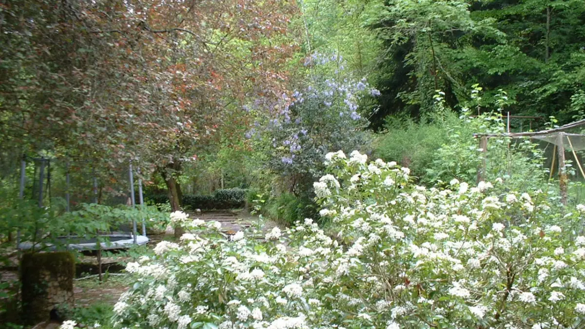 Le Vieux Moulin de la Maque 3