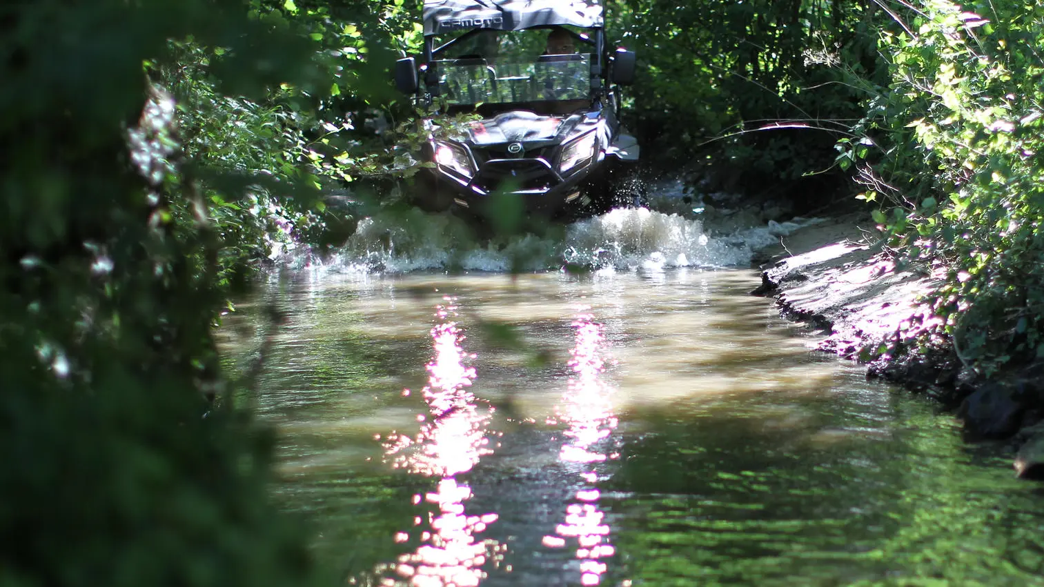 Le-domaine-des-crouquets-Buggy-2