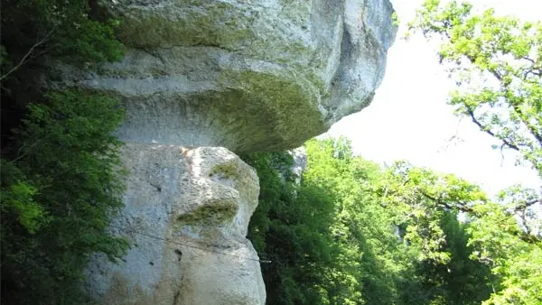 Le faucon pèlerin niche sur les falaises de la Dronne