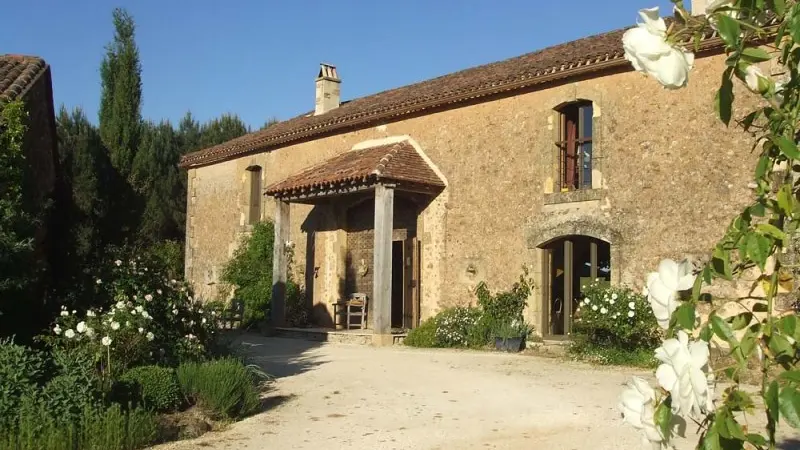 Leone-Haute-1