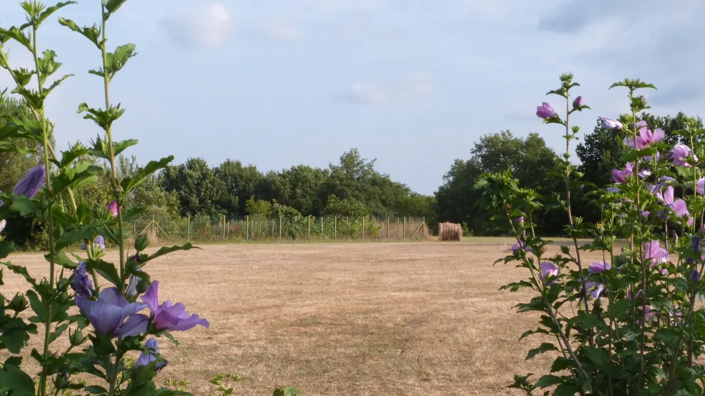 Les Farges_DSC0117 (5)