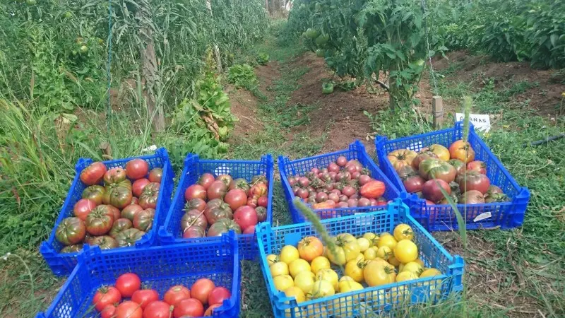 Les Jardins du Grand Pâ