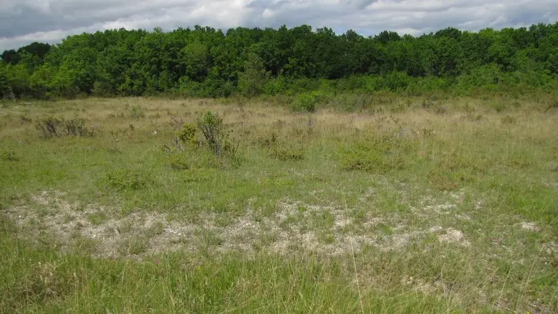 Les coteaux secs près de Monmarvès accueillent l'engoulevent et le pipit des arbres