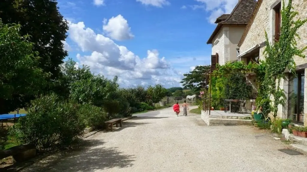 Les chênes 3