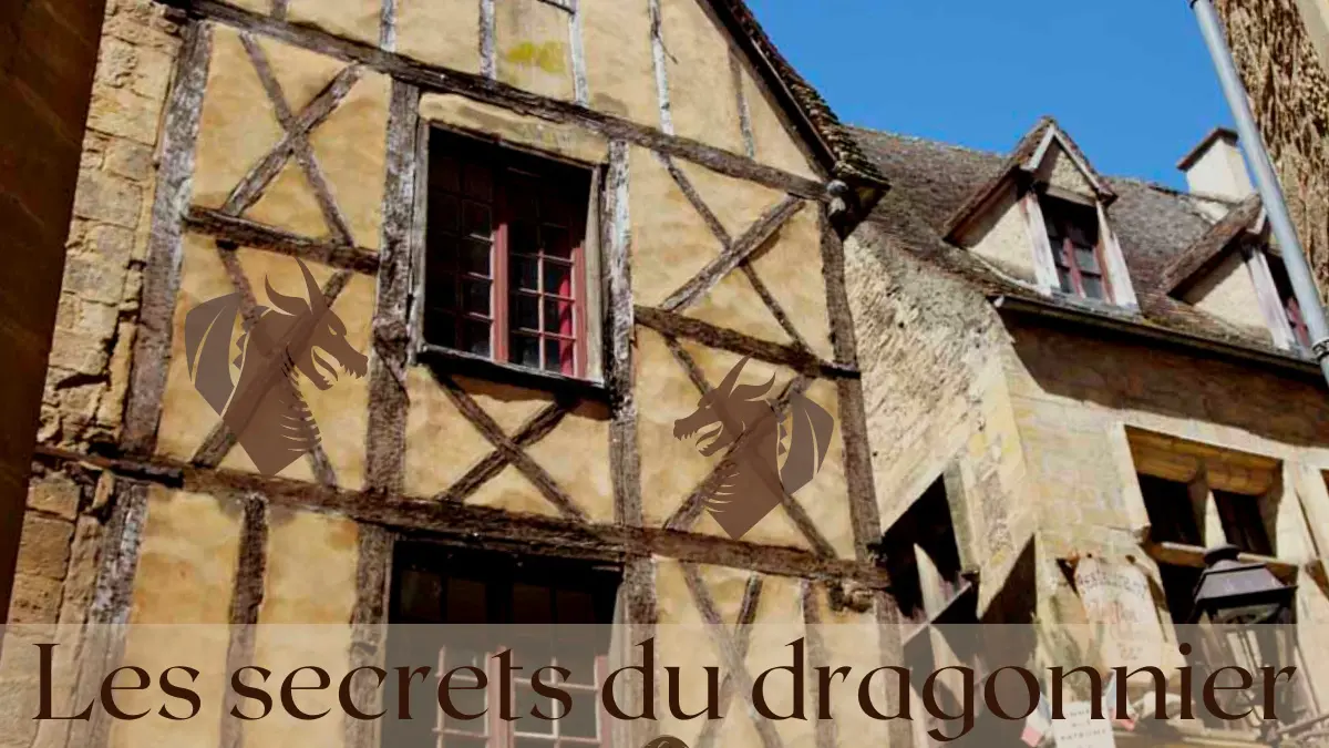 Les secrets du Dragonnier