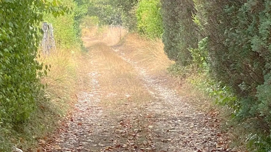 MANZAC SUR VERN-Boucle de Chabannes-Chemin