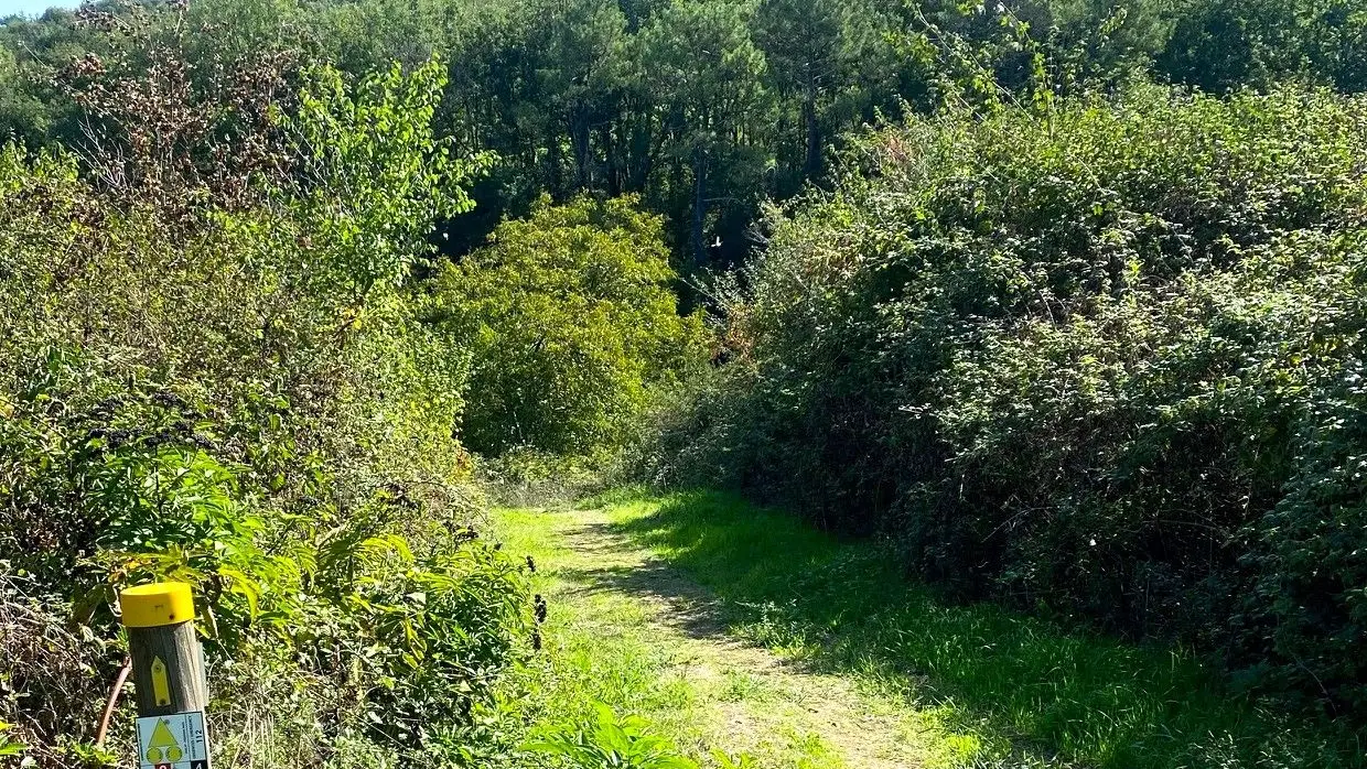 MARCILLAC-SAINT-QUENTIN-Boucle de Marcillac-Chemin-Poteau