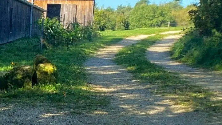 MAREUIL-Boucle de Beaussac-Chemin 2