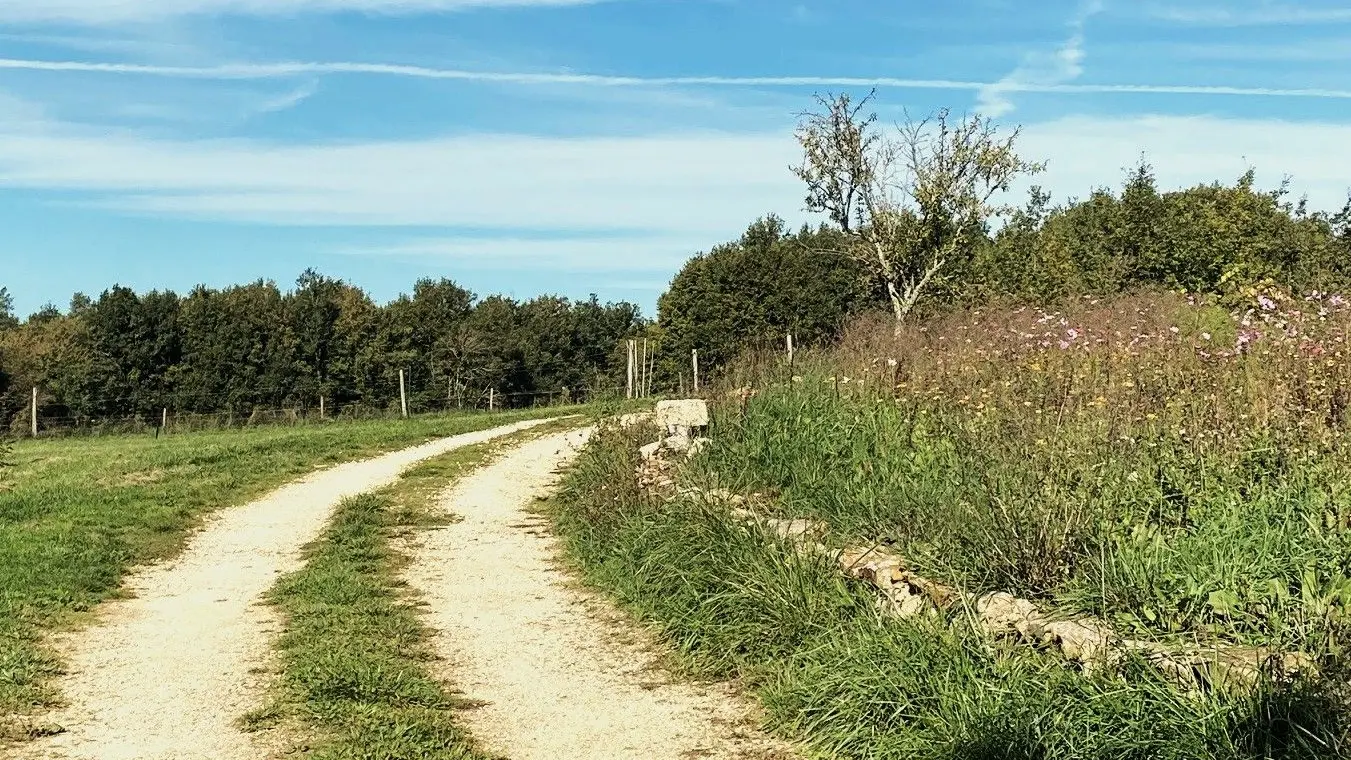 MAREUIL-Boucle de Beaussac-Chemin