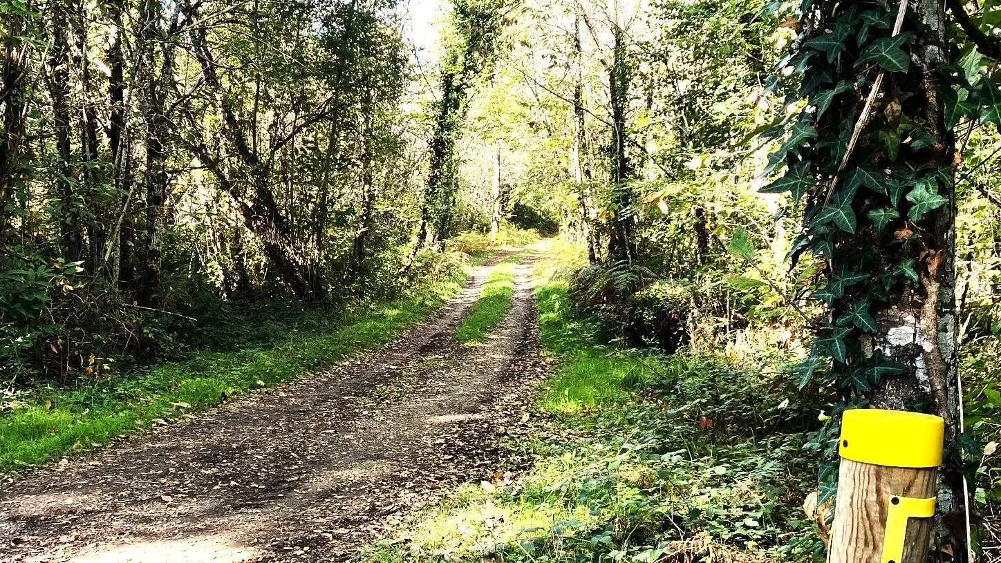MAREUIL-Boucle de Puyrenier-Chemin-Poteau