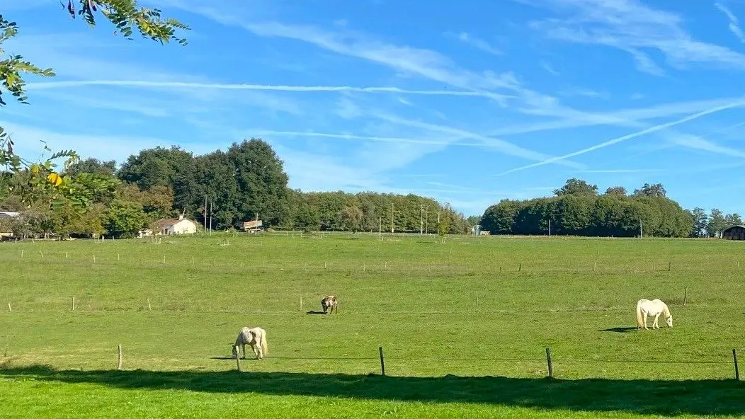 MAREUIL-Boucle de Puyrenier-Paysage