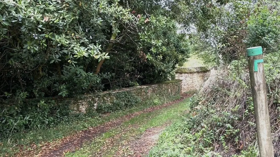 MEYRALS-Boucle de Bitou-Chemin-Poteau