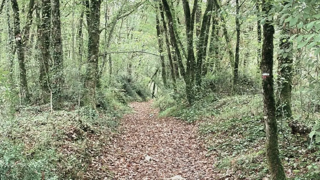 MEYRALS-Boucle de Carmensac-Chemin
