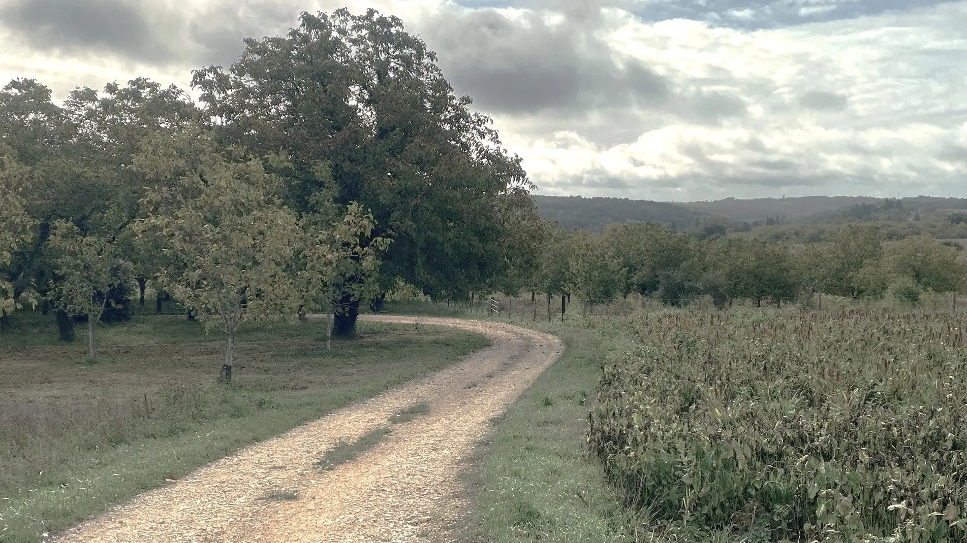 MEYRALS-Boucle de lescarpedie-Chemin