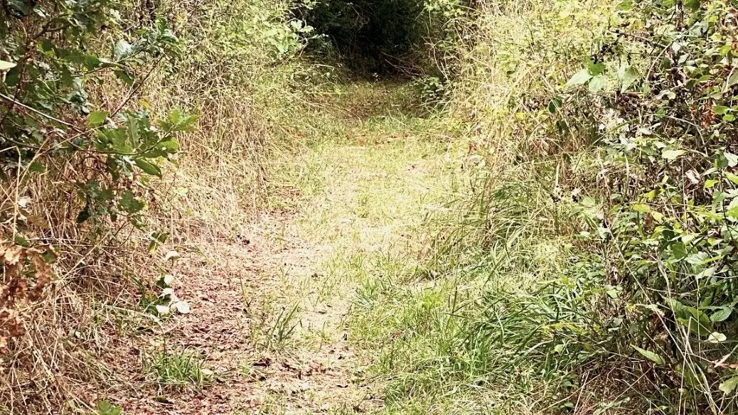 MILHAC-DE-NONTRON-Boucle de Chantres-Chemin 2