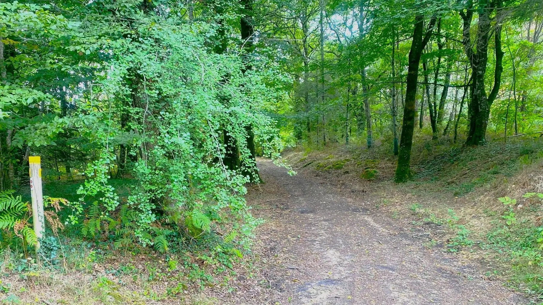 MILHAC-DE-NONTRON-Boucle de Chantres-Chemin 3