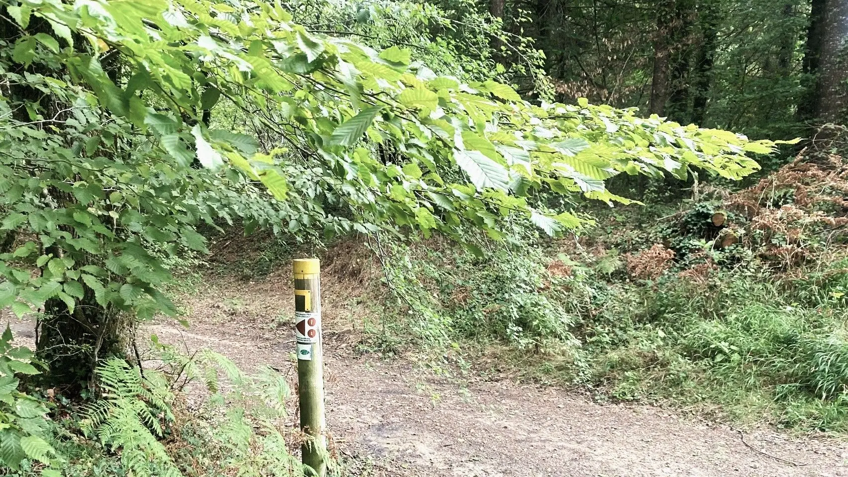 MILHAC-DE-NONTRON-Boucle de Chantres-Chemin 4