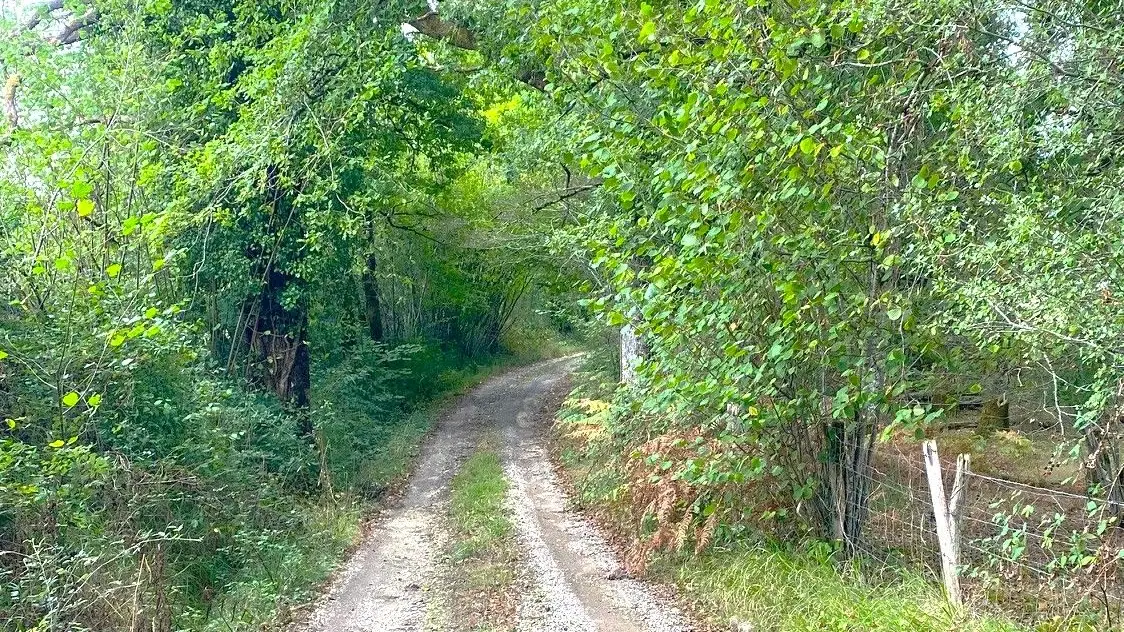 MILHAC-DE-NONTRON-Boucle de Chantres-Chemin