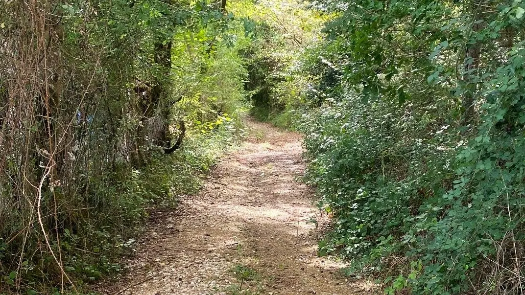 MILHAC-DE-NONTRON-Boucle de Croze-Chemin 2