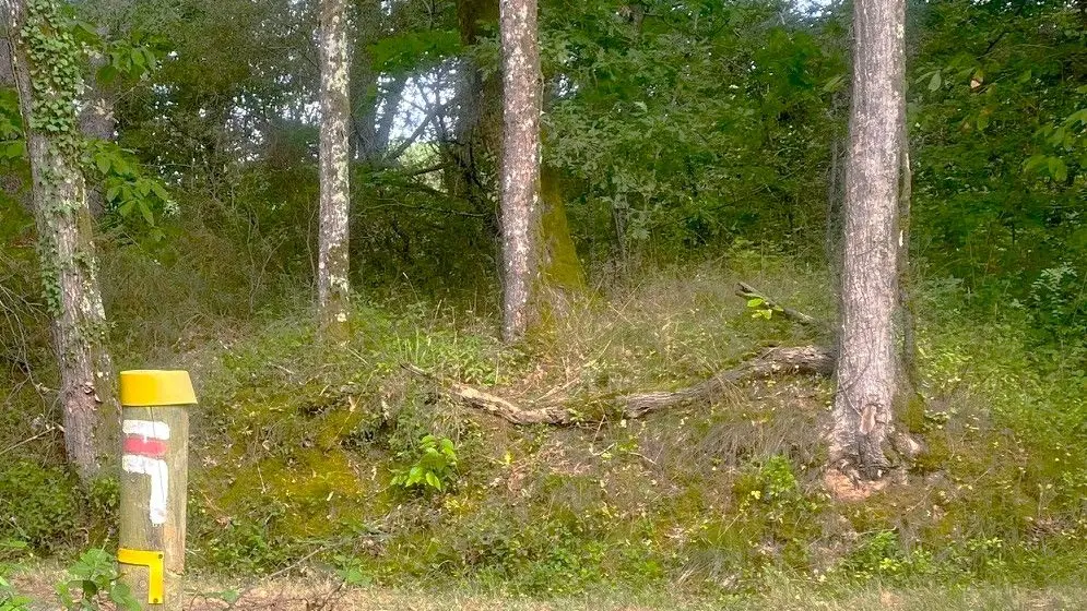 MILHAC-DE-NONTRON-Boucle de Croze-Chemin-Poteau