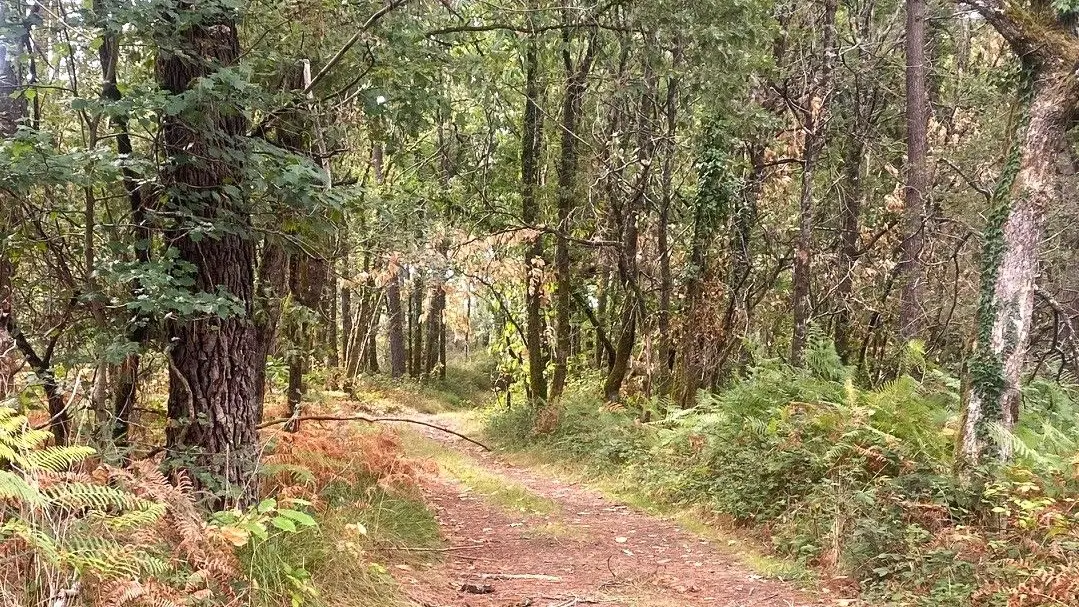 MILHAC-DE-NONTRON-Boucle de Croze-Chemin