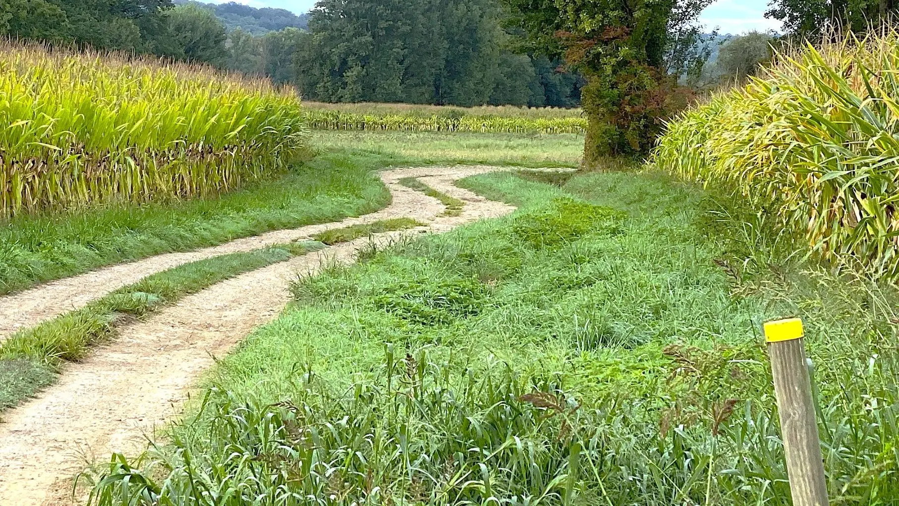 MOUZENS-Boucle de Mouzens-Chemin-poteau 3