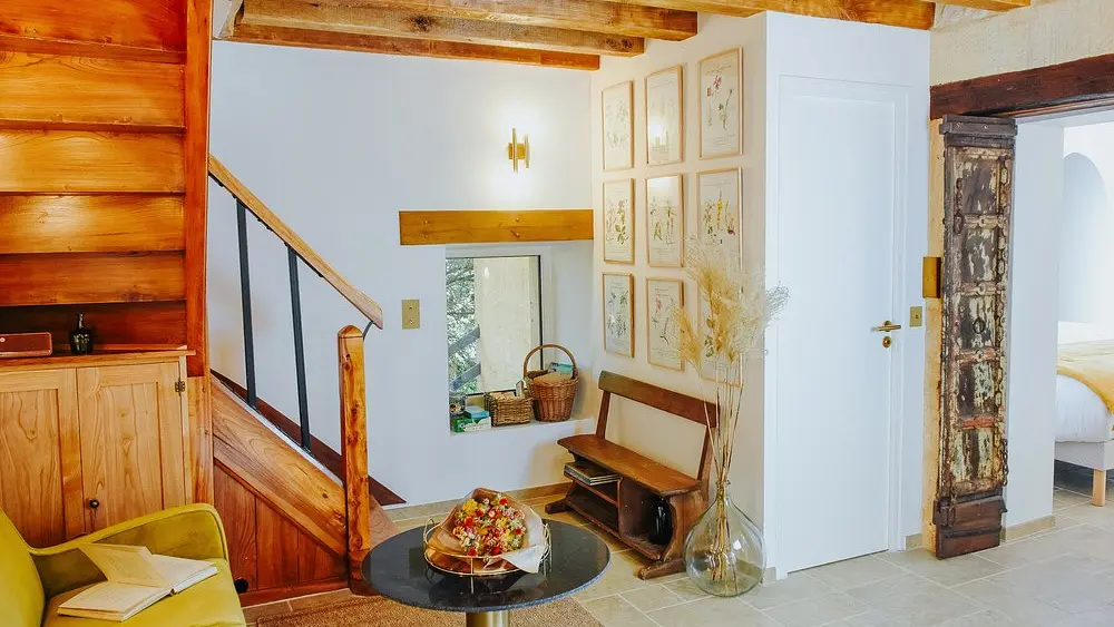 Maison-Cistus-La-Canopee-5