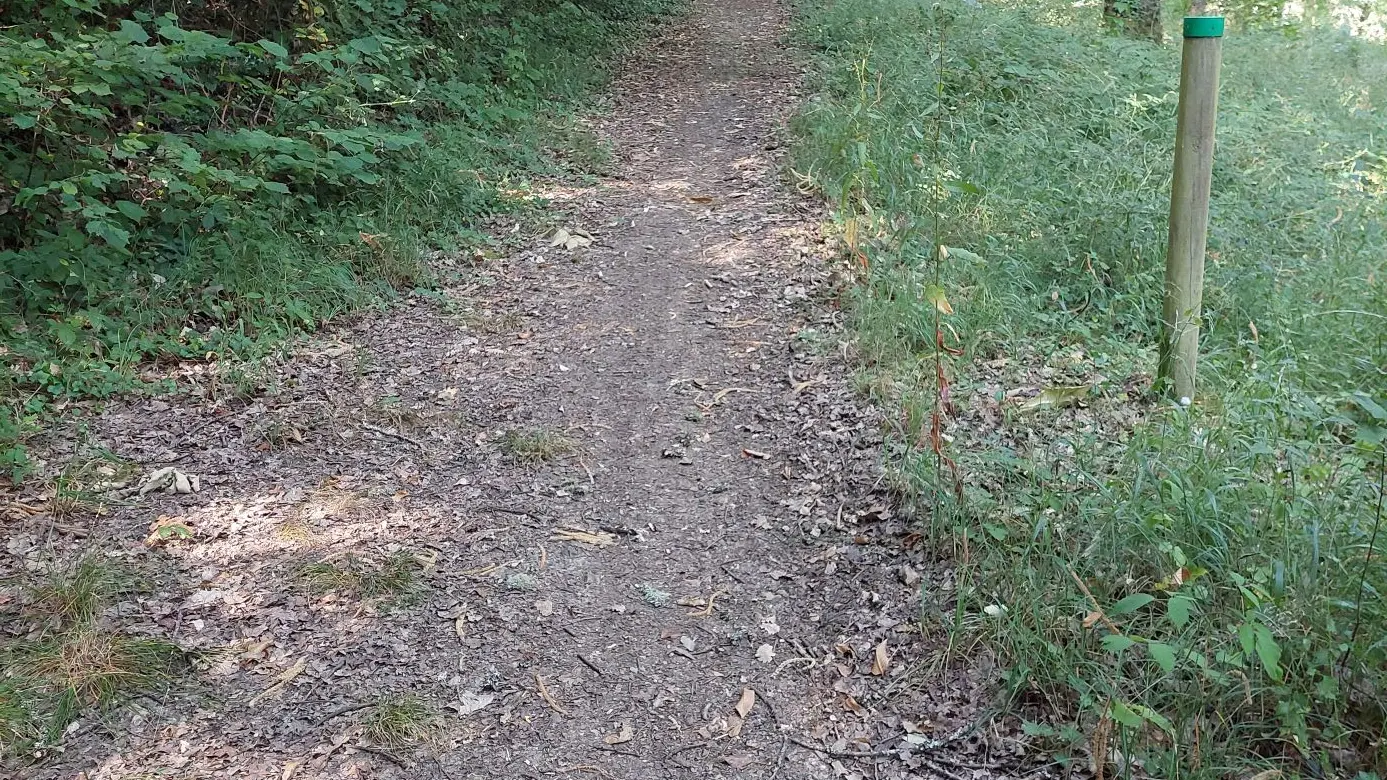 Marsac-Visuel chemin poteau vert