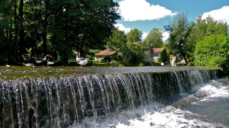 Meublé (Moulun) St-Méard de Drône (11)