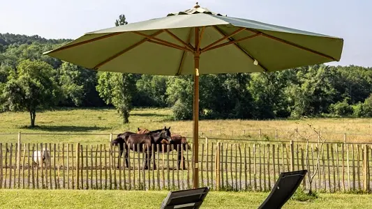 Meublé Domaine pré de l'étang - Extérieur vue sur pré et chevaux