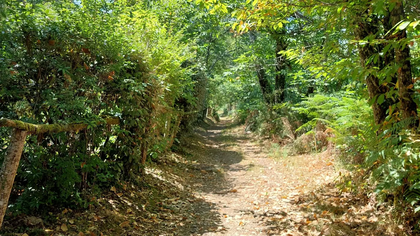 Montrem-5 étangs-visuel chemin 1