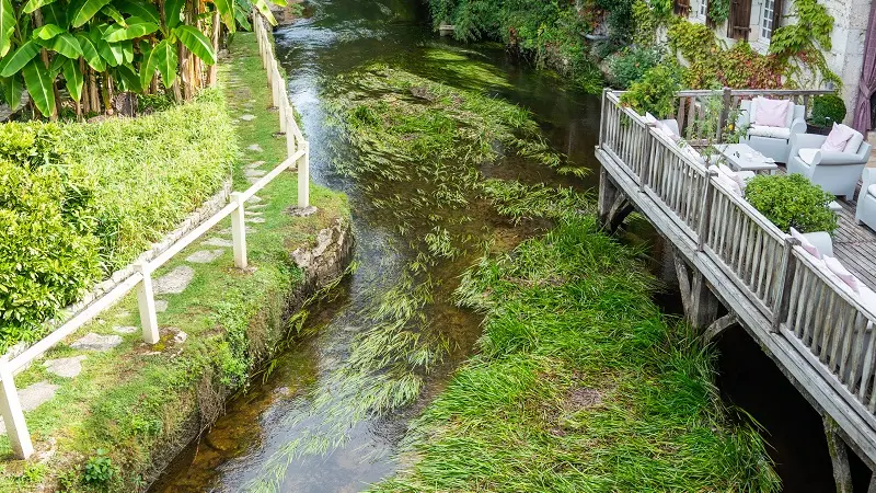 Moulin bord de l'eau-light