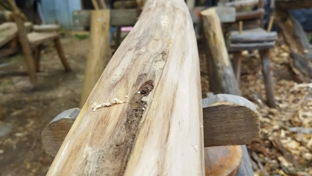 O création bois (5)