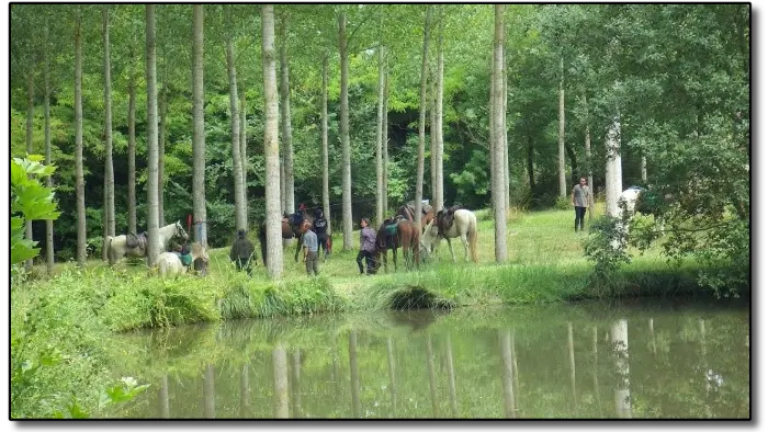 Promenade en forêt