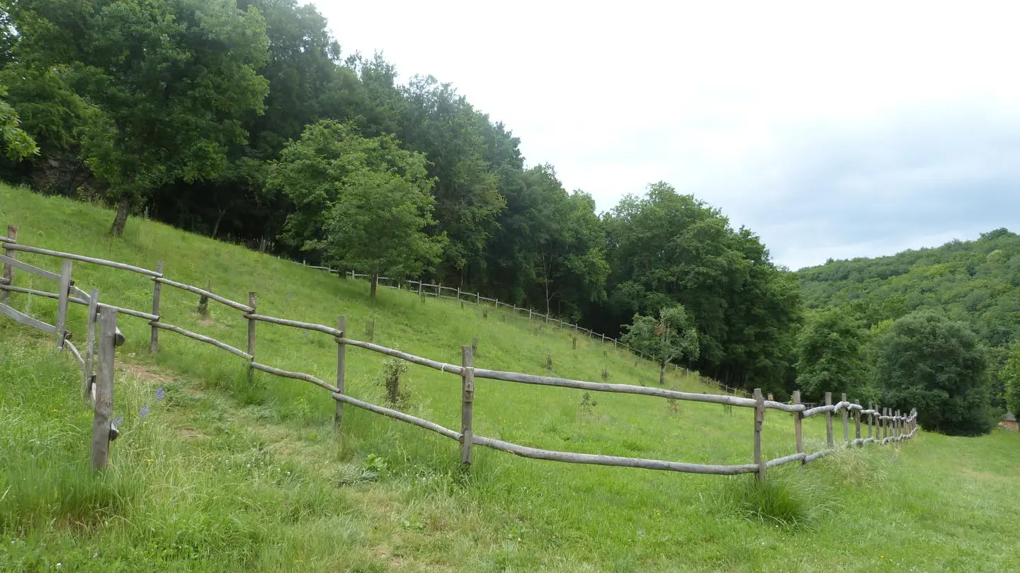 P1010479 Coly Saint-Amand