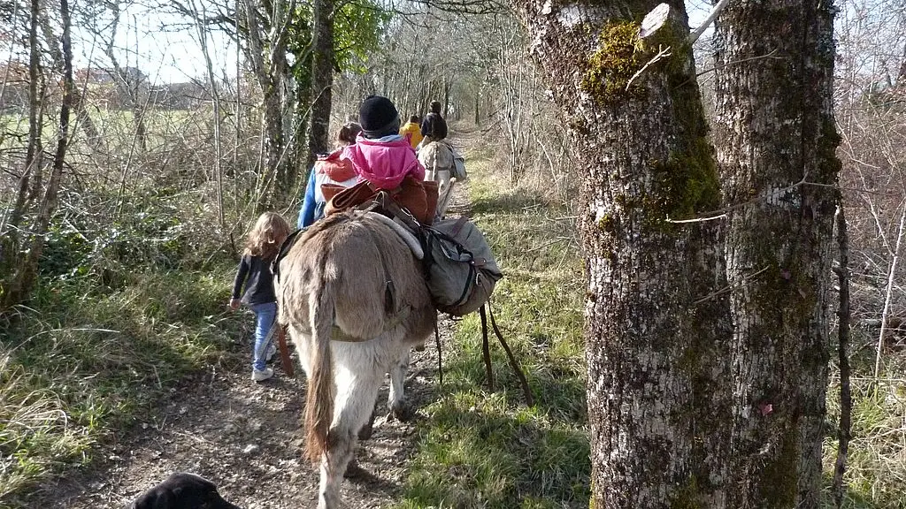 Ferme au pas de l'âne - Molières Bastides Dordogne Périgord en famille