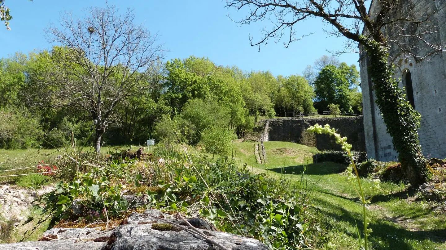 PCU_Saint Amand de Coly (117)