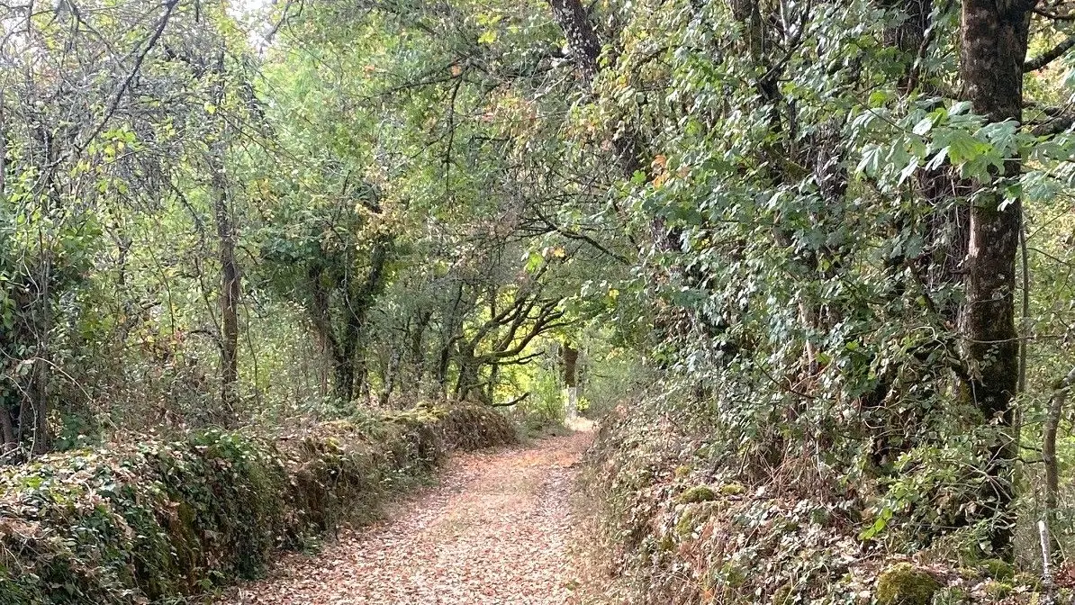 PAUSSAC SAINT VIVIEN-Boucle de la Verrerie-Chemin