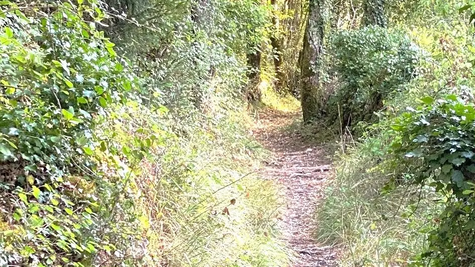 PAUSSAC SAINT VIVIEN-Boucle du Boulou-Chemin 2