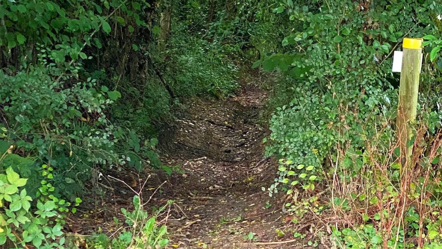 PAYZAC-Boucle du Beau Moulin-Chemin-Poteau