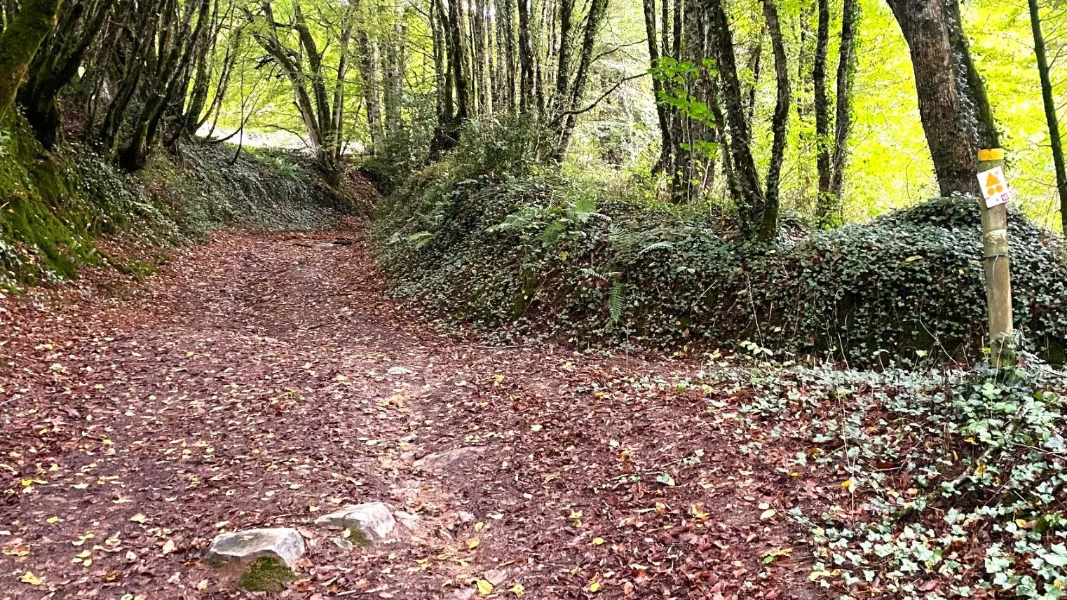 PAYZAC-Boucle du Beau Moulin-Chemin